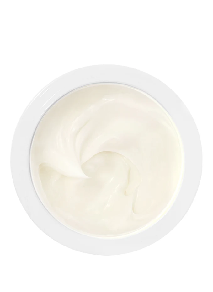 BOBBI BROWN REPAIR MOISTURE CREAM REFILL