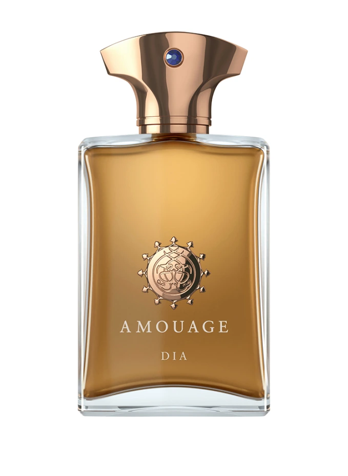 AMOUAGE DIA MAN