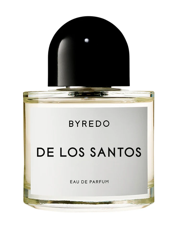 BYREDO DE LOS SANTOS