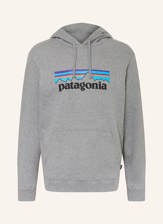 patagonia Hoodie P-6