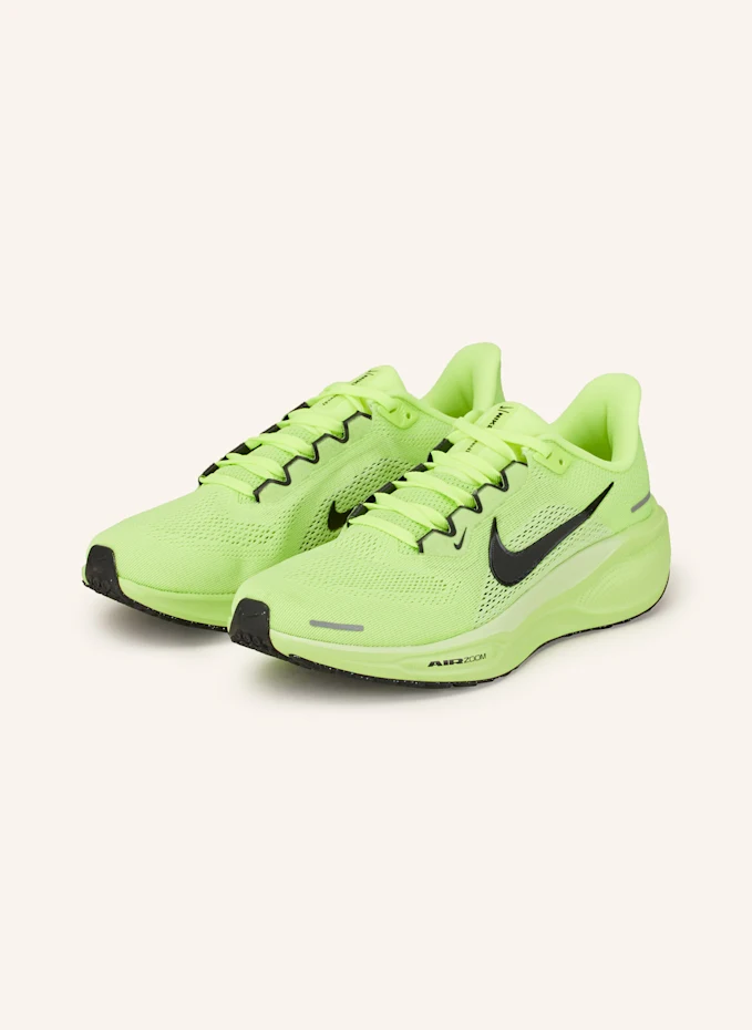 Nike Laufschuhe PEGASUS 41