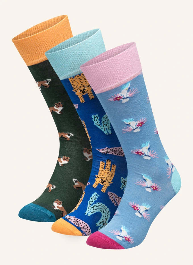 DillySocks 3er-Pack Socken PET TRIO