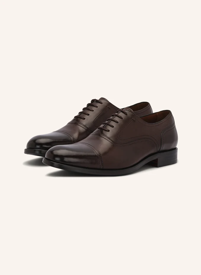 LOTTUSSE Oxford LUTTON