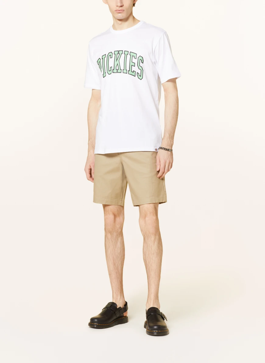 Dickies T-Shirt AITKIN in weiss/ mint TV7036