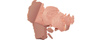 05 ROSE WOOD