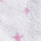 WEISS/ROSA