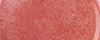 462 ROSY