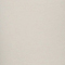 IVORY PPT