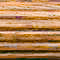 BRAUN