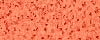031 SPLASH ORANGE