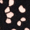 SCHWARZ/ BEIGE