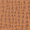 BRAUN