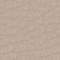 79015302188876300100040000TAUPE