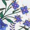 IVORY/ BLAU/ GRÜN