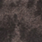 SCHWARZ/ OLIV