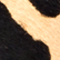 BEIGE/ SCHWARZ