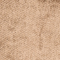 BRAUN