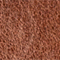BRAUN
