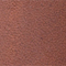 BRAUN