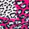 ROSE/ FUCHSIA