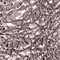 SILBER METALLIC