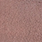 BRAUN