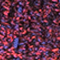 SCHWARZ/ PINK