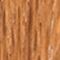 BRAUN