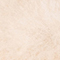 ECRU/ CAMEL