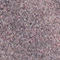 HELL MAUVE