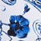 BLAU/ WEISS
