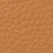 ACORN