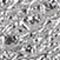LIGHT PEWTER