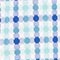 MINT/ WEISS/ BLAU KARIERT