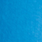 BLUE ASTER PPT
