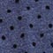 BLAU/ SCHWARZ/ ALTSILBER