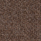 BRAUN