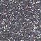 GRAU/ SILBER MELIERT