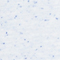 WEISS/ BLAU MELIERT
