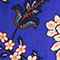 CANEB Canton Electric Blue