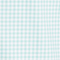MINT/ WEISS KARIERT