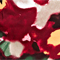 BORDEAUX/ GELB/ BEIGE
