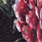 SCHWARZ/ ROSA/ GRÜN