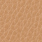 NUT