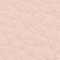 BLUSH NUDE