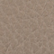 MOTTY GREY