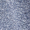 BLAUGRAU MELIERT