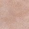 NUDE/ GOLD