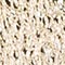 GOLD METALLIC