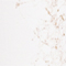 WEISS/ GOLD